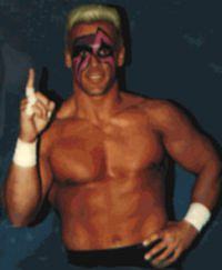 bssting02.jpg (7135 byte)