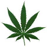 droge3.gif (3756 bytes)