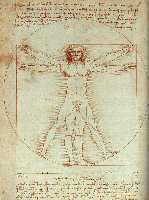 Proportion of a man or Vitruvian Man by Leonardo da Vinci