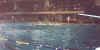notre_dame_7.jpg (99501 bytes)