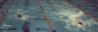 swimming2.jpg (7515 bytes)
