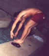 touch_those_toes.jpg (11664 bytes)