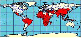 World Health