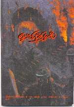 13rdcover.jpg (6435 bytes)