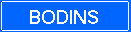 Bodins