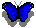 [Farfalla blu]