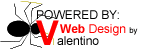 Powered  by VWebs