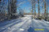 down_driveway.jpg (94098 bytes)