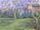 Violet trees