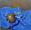 still-life
