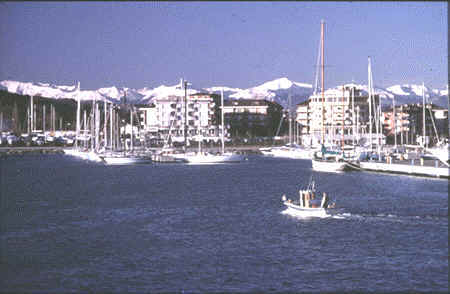 vista_del_porto.jpg (16655 byte)