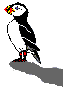 birds2rv.gif (1818 bytes)