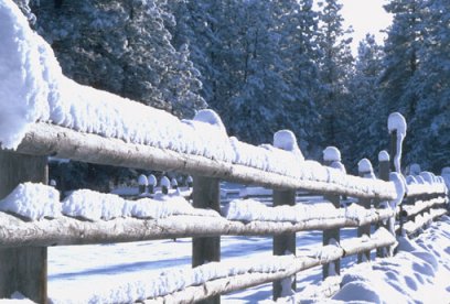 winter.jpg (35950 bytes)