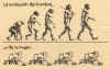 Evolucin machista.jpg (48188 bytes)