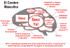 cerebroma.gif (21738 bytes)
