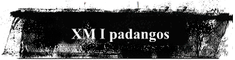 XM I padangos