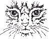 Happy Cat Haven logo
