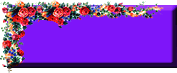 06btn.gif