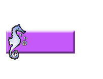 31btn.gif