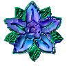 flw1.gif