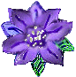 flw3.gif