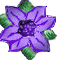 flw5.gif