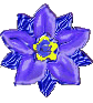 flw7.gif