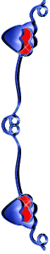 brdr30.gif