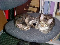 Nicky_and_Venus_August_2004