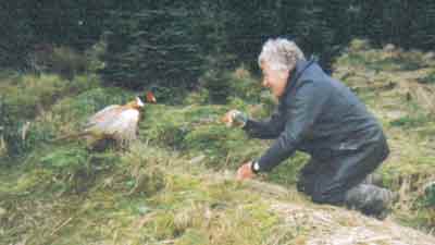 Man tries to invoke Queensbury Rules but pheasent won't agree