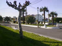 parque2.JPG (92679 bytes)