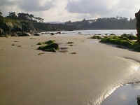 playa9.JPG (66195 bytes)