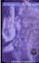 atwio5.jpg