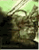 alv07.jpg