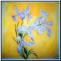 The Wild Iris