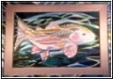 Rainbow Trout