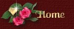 Back to my home page