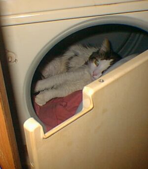 [Nice warm bed!]