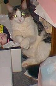 [Look at his paws!]