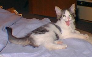 [yawn!]