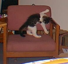 [Hugging the chair?]