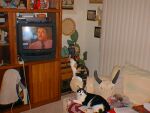 [watching TV]