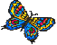 [butterfly]