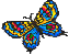 [butterfly]