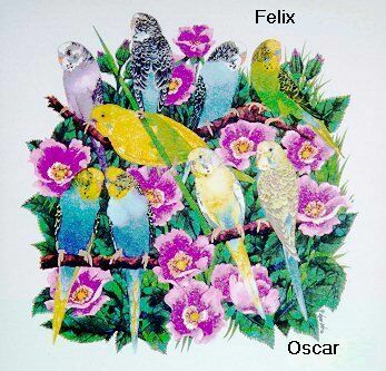 [Felix and Oscar]