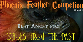 Won in the first round of the Phoenix Feather Competition.