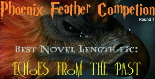 Won in the first round of the Phoenix Feather Competition.