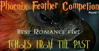 Won in the first round of the Phoenix Feather Competition.