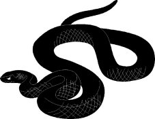Zwadderich! The Flemish/Dutch word for Slytherin!