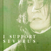 I support Severus Snape